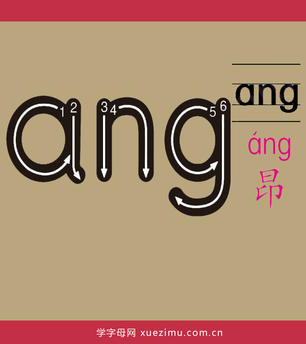 拼音ang的写法